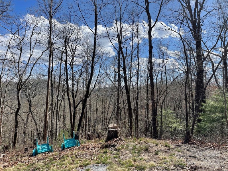 Property image 3 at Lot 66 Sandy Lane, Brevard, NC 28712