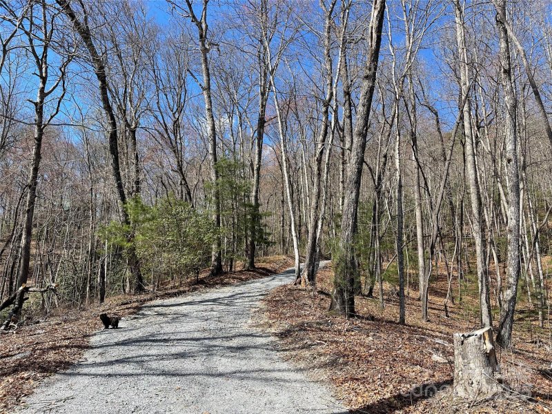 Property image 4 at Lot 66 Sandy Lane, Brevard, NC 28712