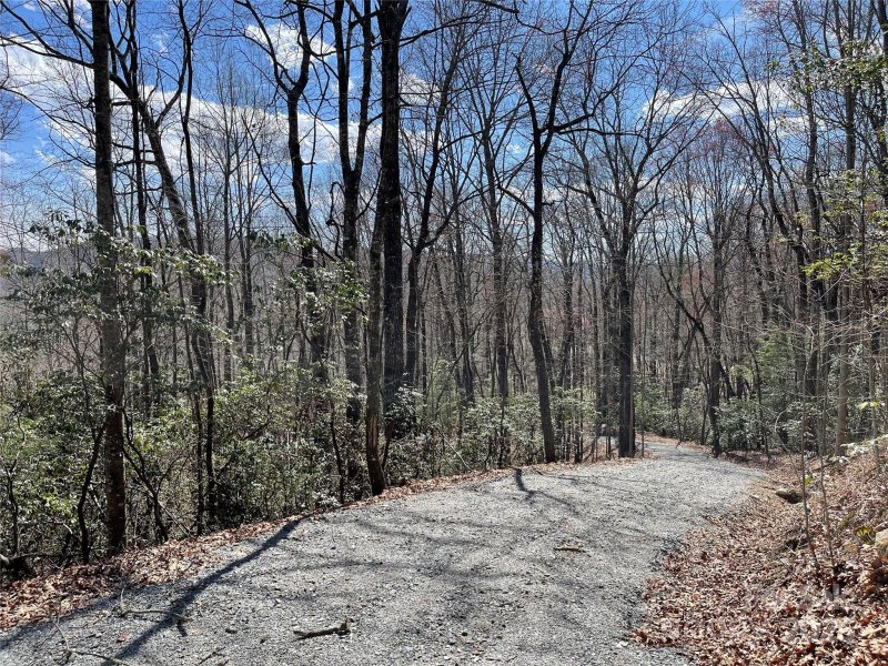 Property image 5 at Lot 66 Sandy Lane, Brevard, NC 28712