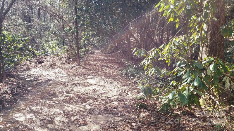 Property image 4 of 9999 Poplar Lane in Happy Acres, Brevard, NC 28712