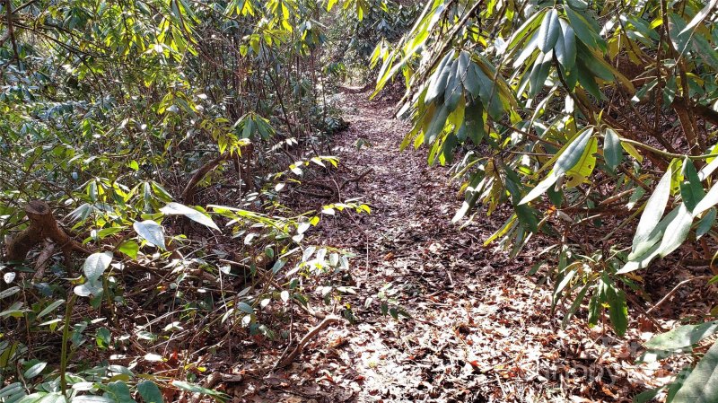 Property image 5 of 9999 Poplar Lane in Happy Acres, Brevard, NC 28712