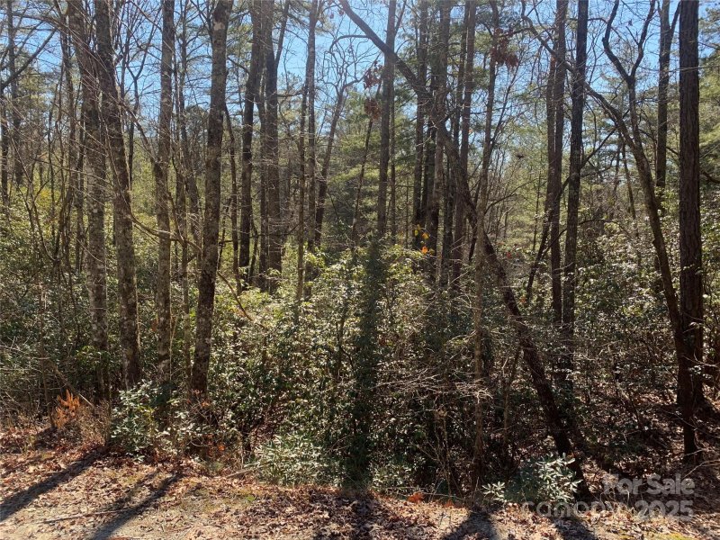 Property image 4 of Tbd Oak Laurel Road in Oak Laurel, Brevard, NC 28712