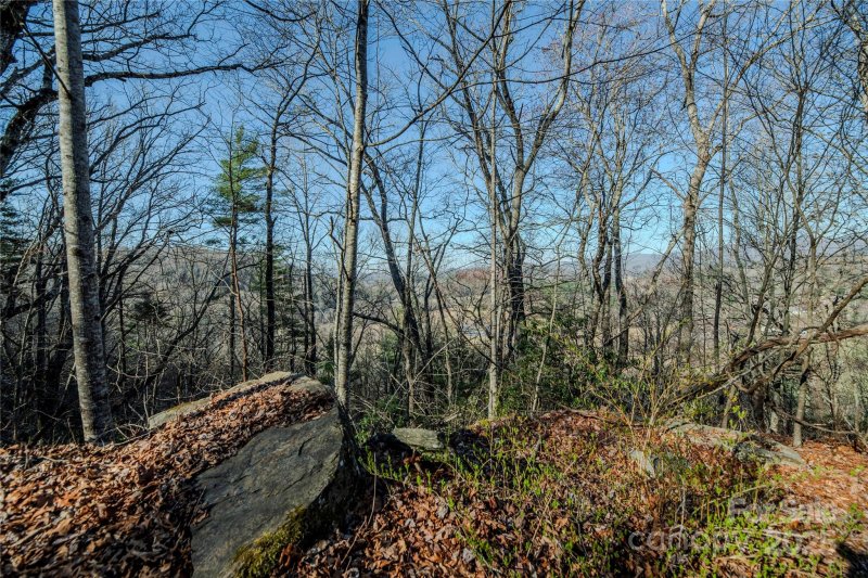 Property image 5 of Tbd Three Mile Knob Road in Knob Creek, Pisgah Forest, NC 28768