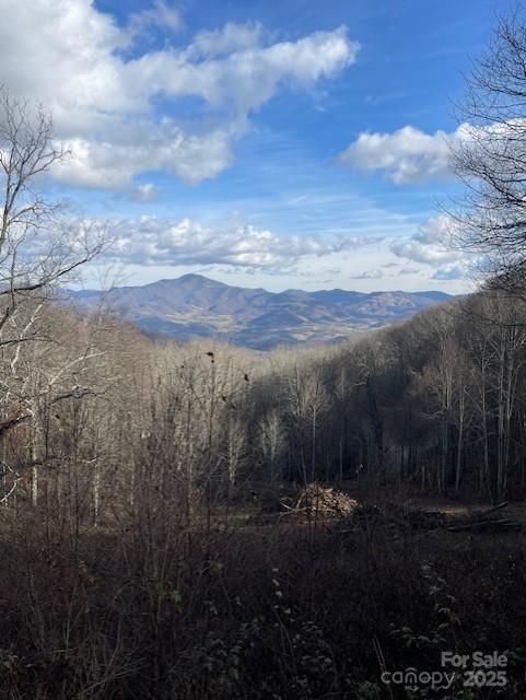 Property image 3 at 0 Hardwood Cove, Waynesville, NC 28785