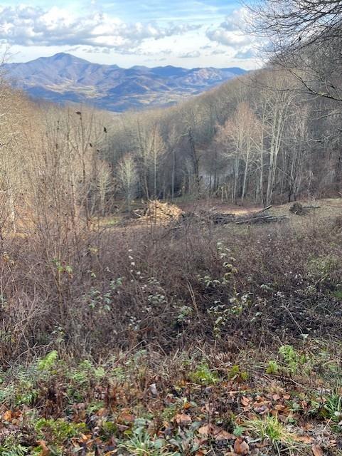 Property image 4 at 0 Hardwood Cove, Waynesville, NC 28785