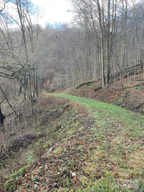 Property image 5 at 0 Hardwood Cove, Waynesville, NC 28785