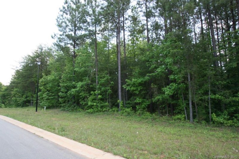 Property image 2 at 000000 Windy Ridge Drive, Iron Station, NC 28080