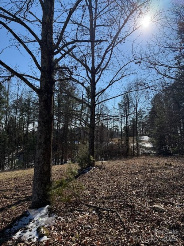 Property image 4 of 0 Springbrook Lane in Stoneybrook, Columbus, NC 28722