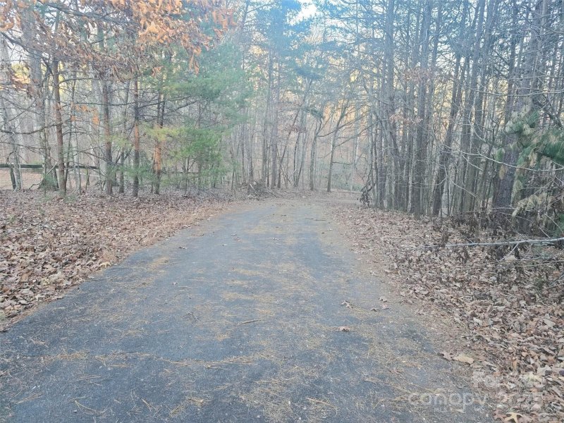 Property image 5 of 0 Springbrook Lane in Stoneybrook, Columbus, NC 28722