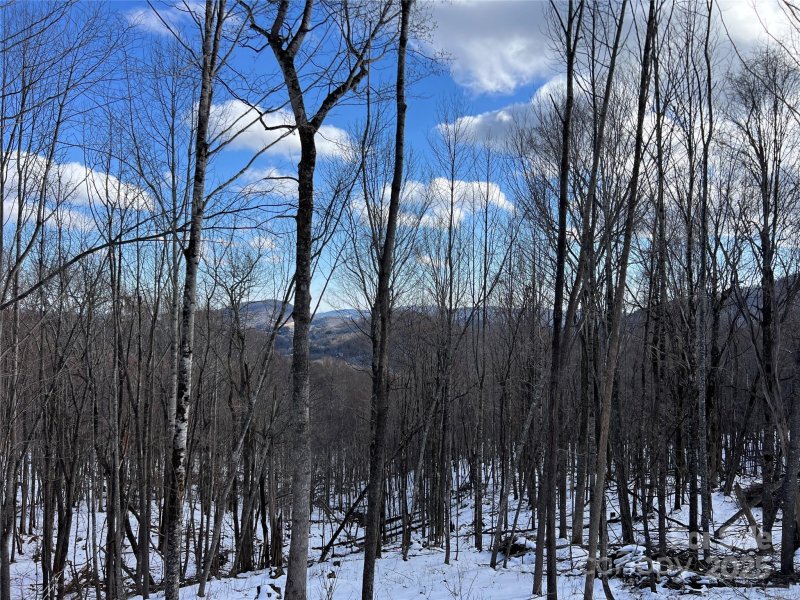 Tbd Lot 69 Poplar Forest Drive