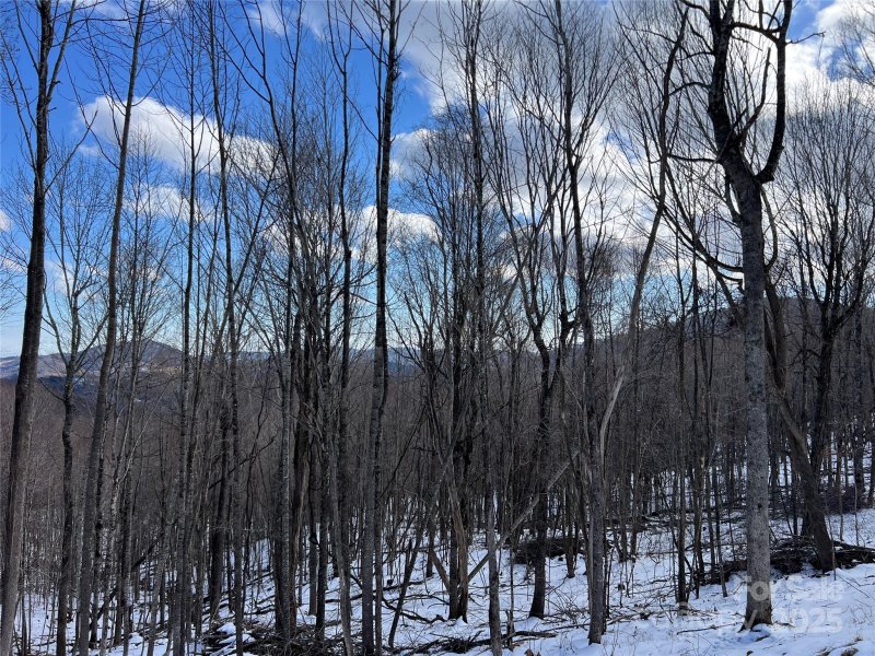 Property image 3 of Tbd Lot 69 Poplar Forest Drive in Poplar Forest, Boone, NC 28607