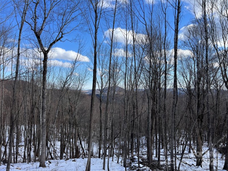 Property image 4 of Tbd Lot 69 Poplar Forest Drive in Poplar Forest, Boone, NC 28607