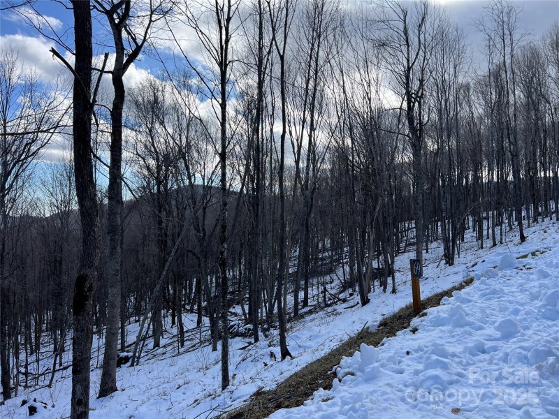 Property image 5 of Tbd Lot 69 Poplar Forest Drive in Poplar Forest, Boone, NC 28607