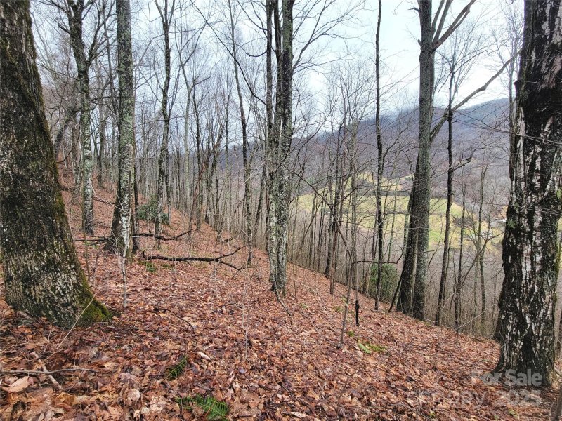 Property image 2 of 820 Chestnut Flats Lane in Villages Of Plott Creek, Waynesville, NC 28786