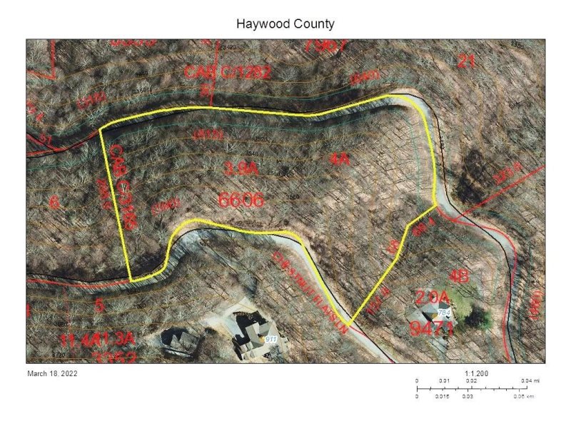 Property image 3 of 820 Chestnut Flats Lane in Villages Of Plott Creek, Waynesville, NC 28786