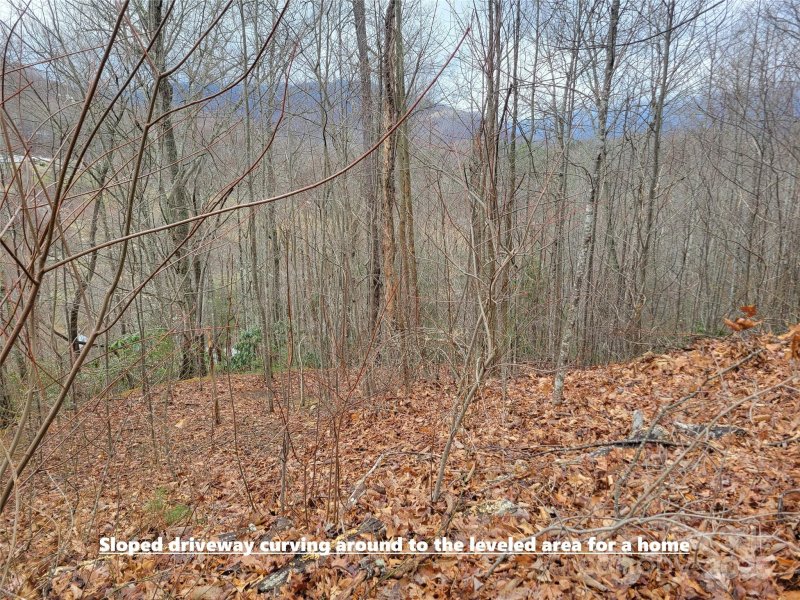 Property image 2 at 20 Magnolia Way, Waynesville, NC 28786