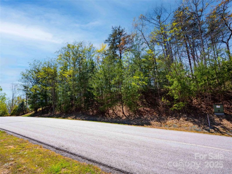Property image 3 of 107 Deep Gap Road in Brights Creek, Mill Spring, NC 28756