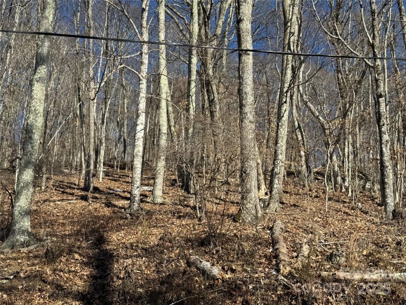 Property image 2 at 578 Glenaire Drive, Mars Hill, NC 28754