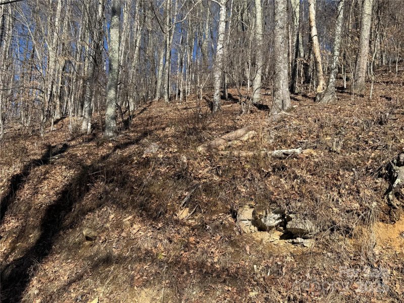 Property image 3 at 578 Glenaire Drive, Mars Hill, NC 28754