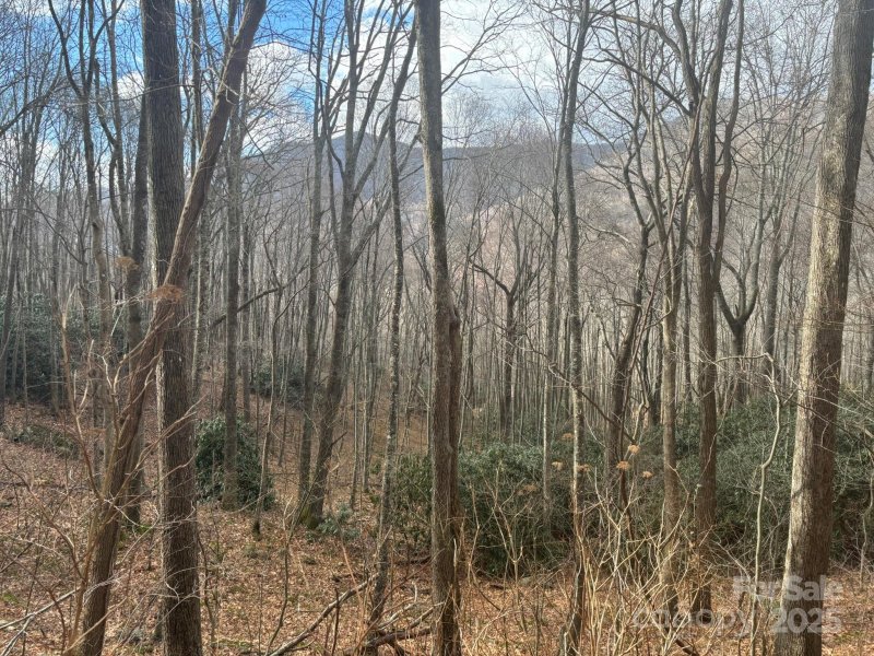 Property image 2 of 68 Grouse Road in Quail Cove, Clyde, NC 28721