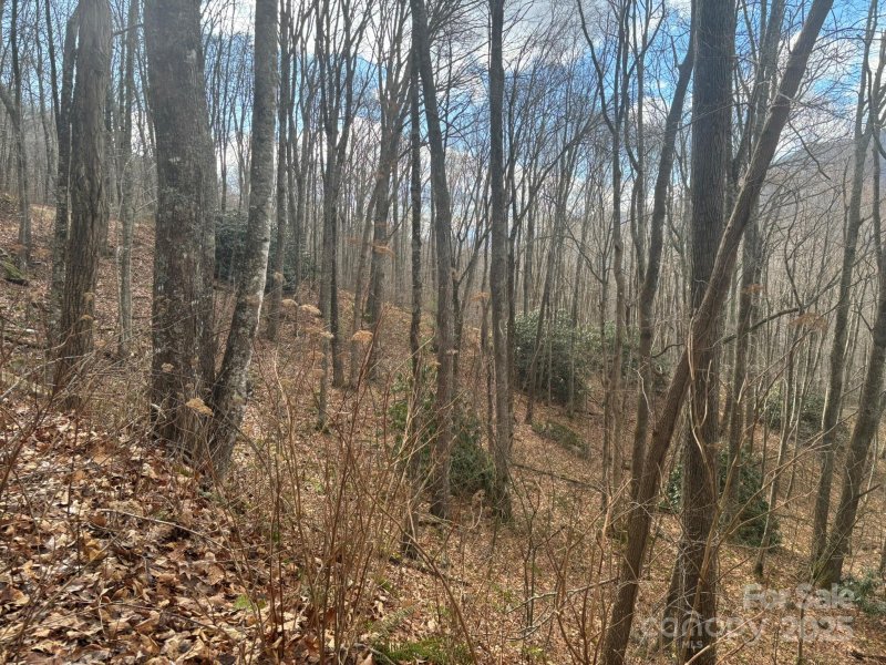 Property image 3 of 68 Grouse Road in Quail Cove, Clyde, NC 28721