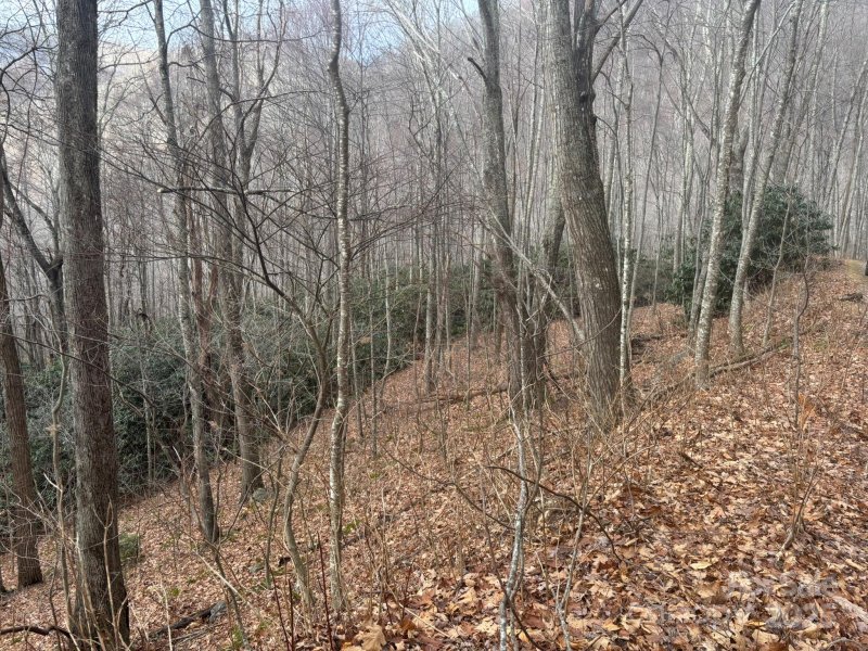 Property image 4 of 68 Grouse Road in Quail Cove, Clyde, NC 28721