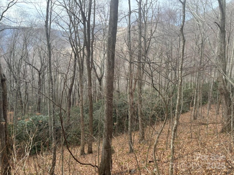 Property image 5 of 68 Grouse Road in Quail Cove, Clyde, NC 28721