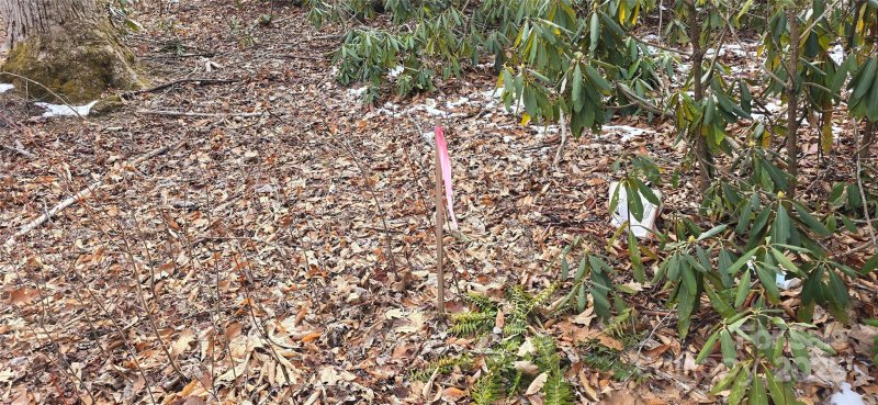 Property image 5 of Lot 42 Twinbrook Lane in Twinbrooks Resort, Maggie Valley, NC 28751