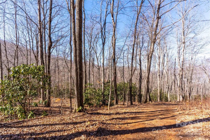 Property image 2 of 1248 Arborcrest Way in High Hickory, Swannanoa, NC 28778