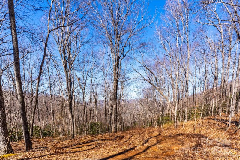 Property image 3 of 1248 Arborcrest Way in High Hickory, Swannanoa, NC 28778