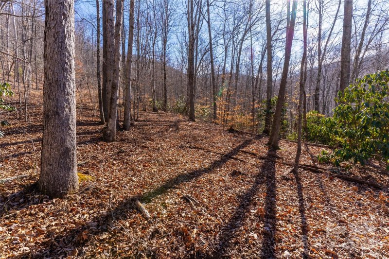 Property image 4 of 1248 Arborcrest Way in High Hickory, Swannanoa, NC 28778