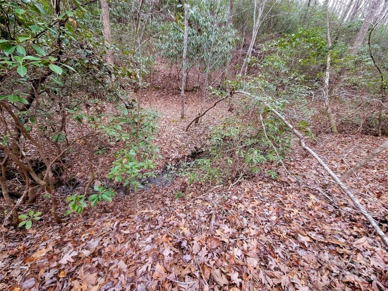 000 Birddog Boulevard