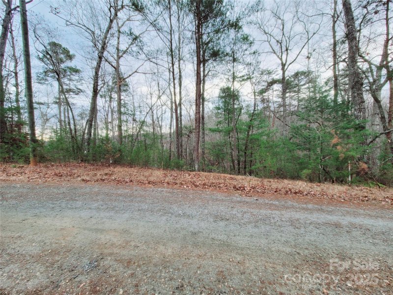 Property image 2 of 000 Birddog Boulevard in Riverbend, Lake Lure, NC 28746