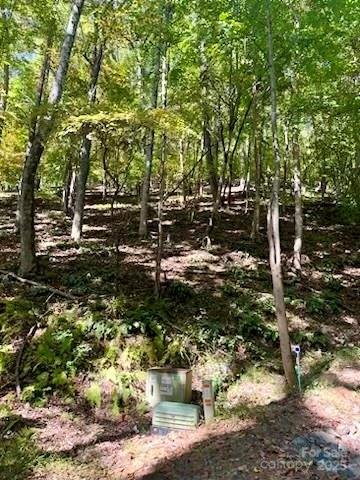 Property image 3 of Tbd Hickory Vista Lane in High Vista, Mills River, NC 28759