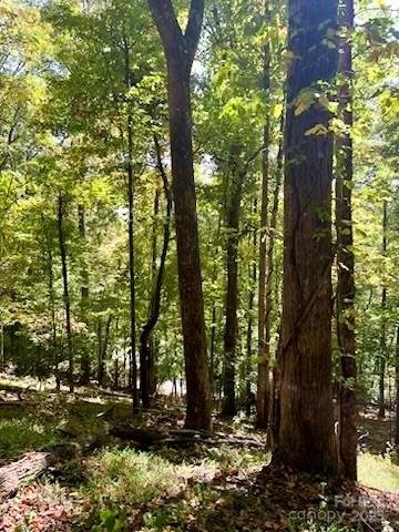 Property image 4 of Tbd Hickory Vista Lane in High Vista, Mills River, NC 28759