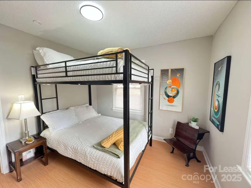 Property image 4 at 316 Skyland Avenue, Charlotte, NC 28205