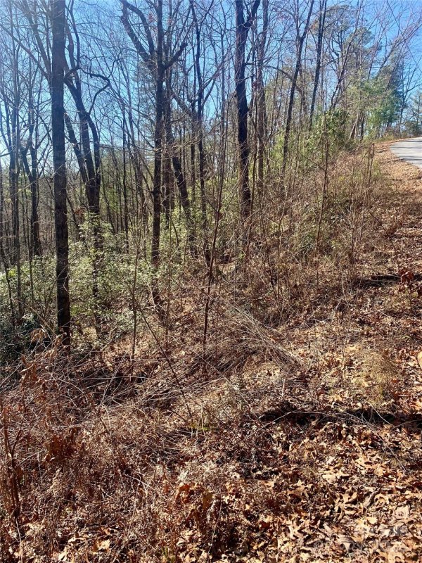 Property image 2 at Lots 62 63 Oak Laurel Road, Brevard, NC 28712