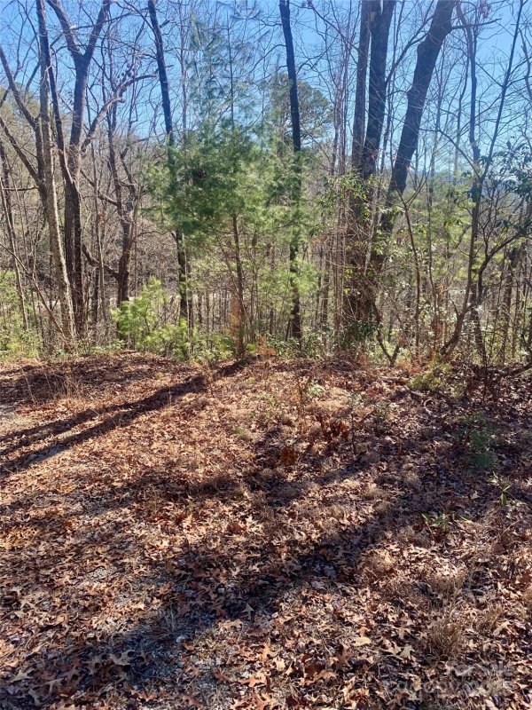 Property image 3 at Lots 62 63 Oak Laurel Road, Brevard, NC 28712