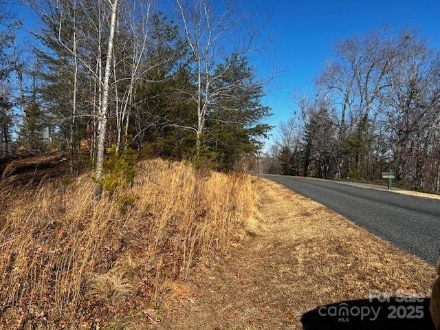 Property image 3 of Lot 37 N Mountain Lane in Lake Adger, Mill Spring, NC 28756