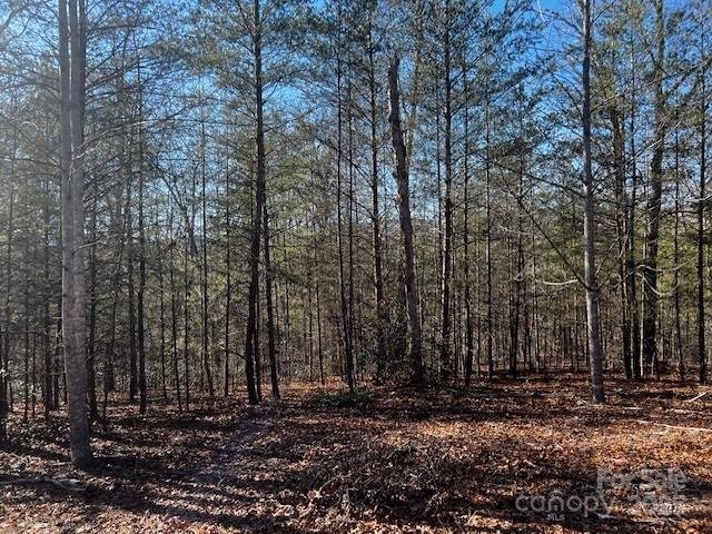 Property image 4 of Lot 37 N Mountain Lane in Lake Adger, Mill Spring, NC 28756