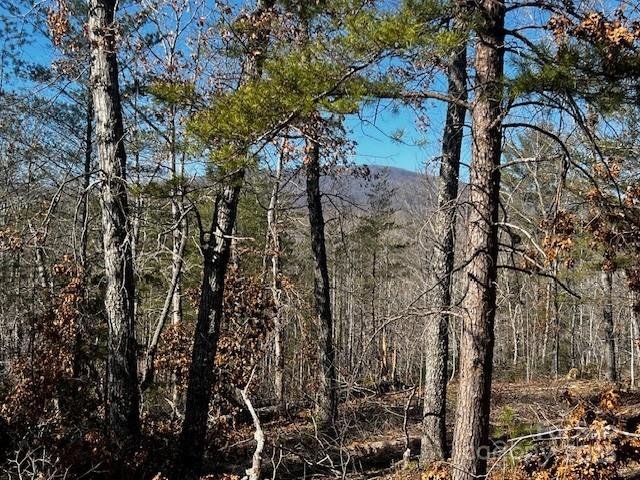 Property image 5 of Lot 37 N Mountain Lane in Lake Adger, Mill Spring, NC 28756