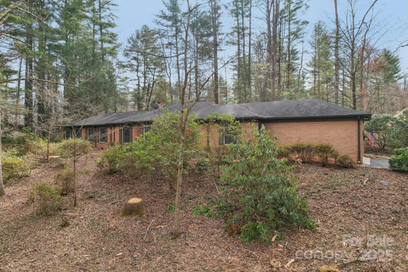 Property image 3 at 141 Boyd Drive, Flat Rock, NC 28731