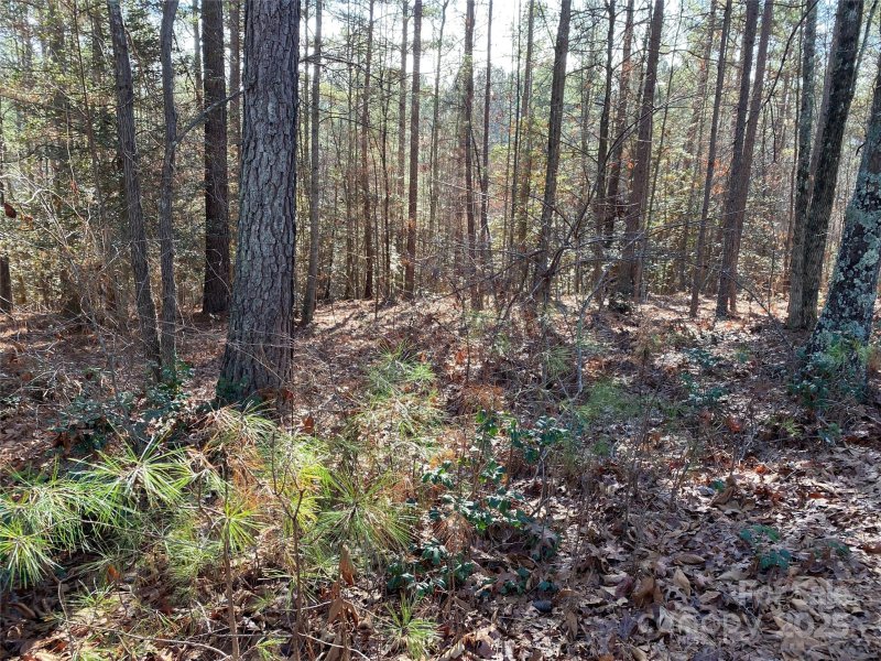 Property image 2 of 2052 Lighthouse Lane in Paradise Harbor, Connelly Springs, NC 28612