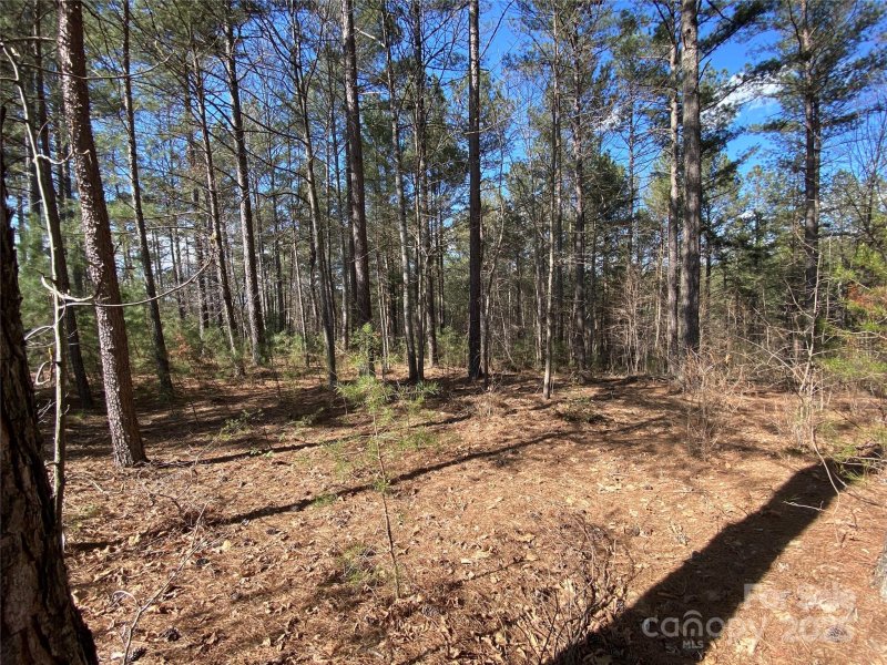 Property image 3 of 1156 Palomino Beach Lane in Paradise Harbor, Connelly Springs, NC 28612