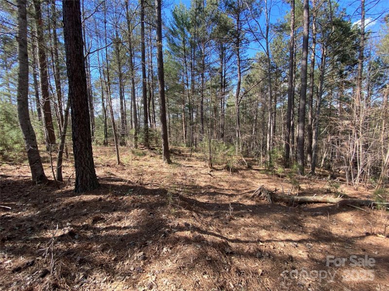 Property image 4 of 1156 Palomino Beach Lane in Paradise Harbor, Connelly Springs, NC 28612