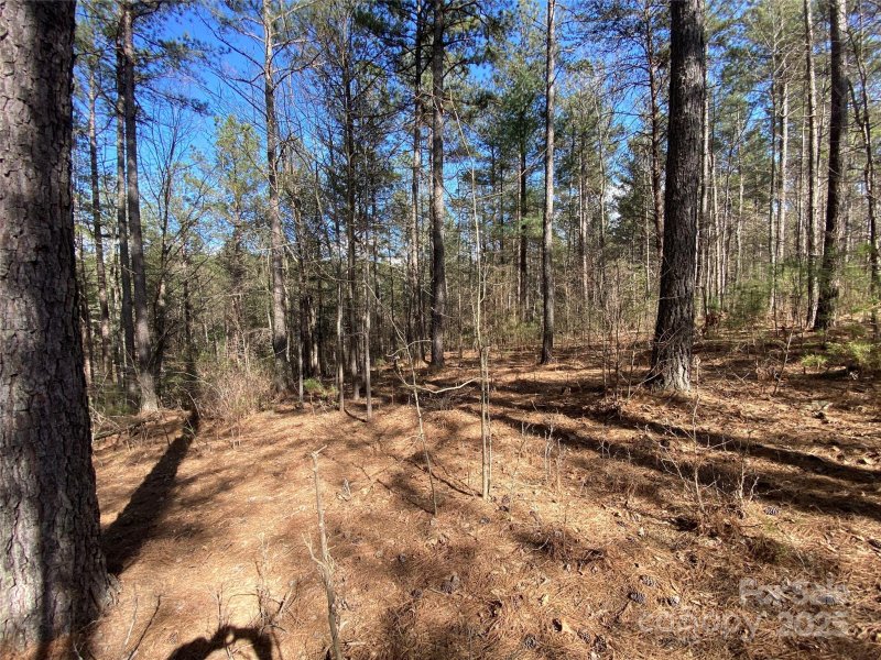 Property image 5 of 1156 Palomino Beach Lane in Paradise Harbor, Connelly Springs, NC 28612