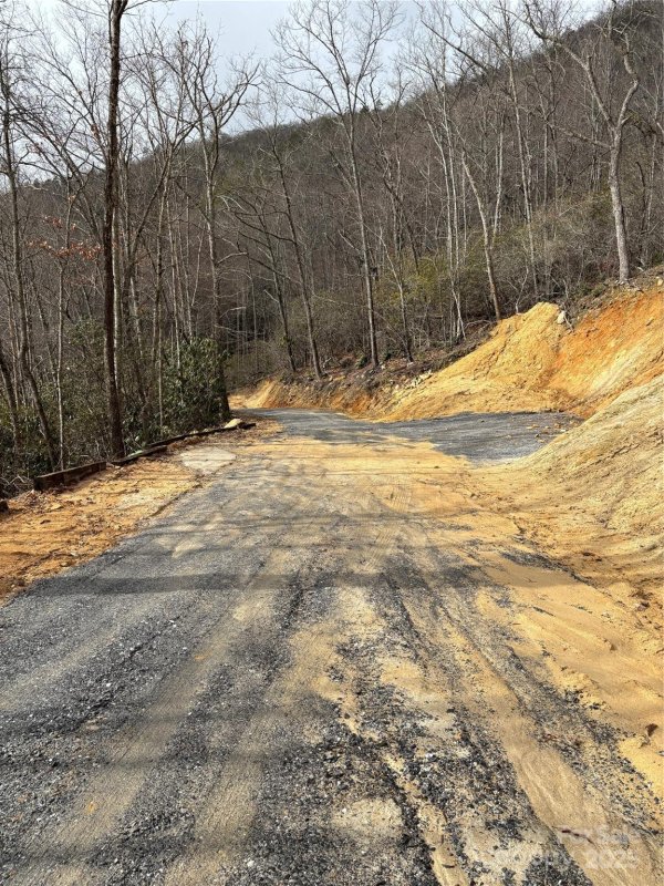 Property image 5 at 575 Sheepback Mountain Road, Maggie Valley, NC 28751