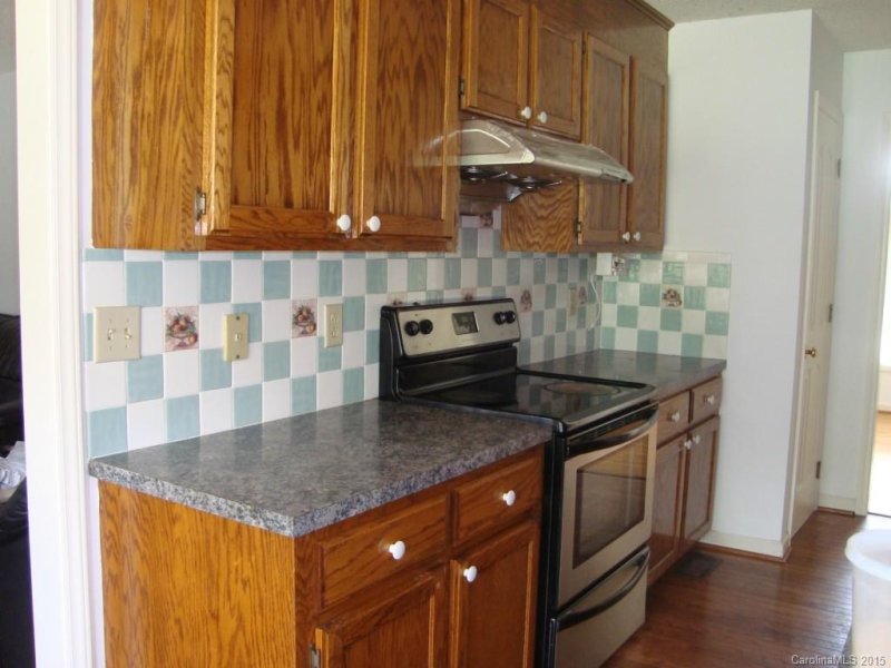 Property image 4 at 607 Sandycrest Drive, Cherryville, NC 28021