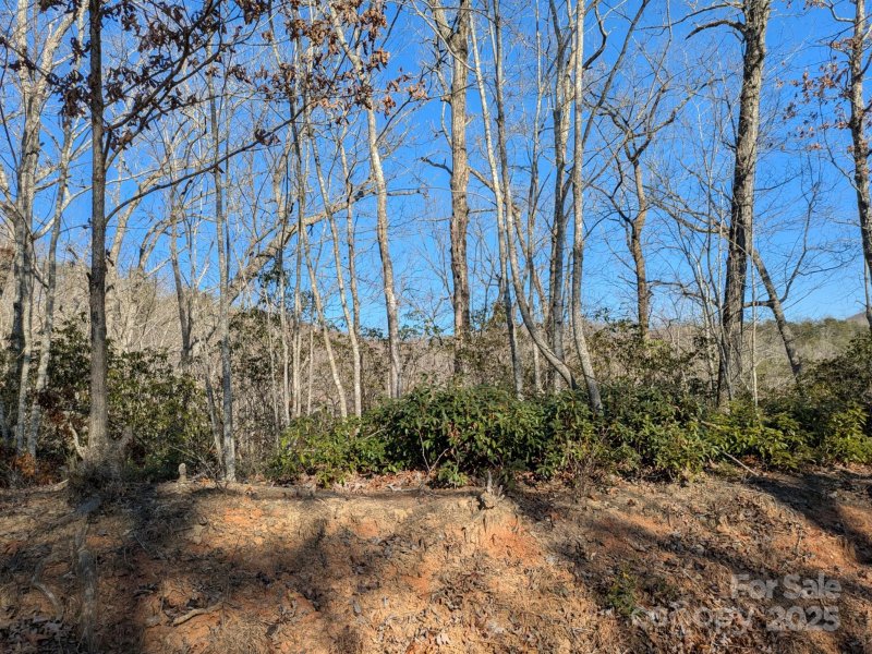 Property image 3 of 0 Se Old Crows Drive in Riverbend at Lake Lure, Lake Lure, NC 28746