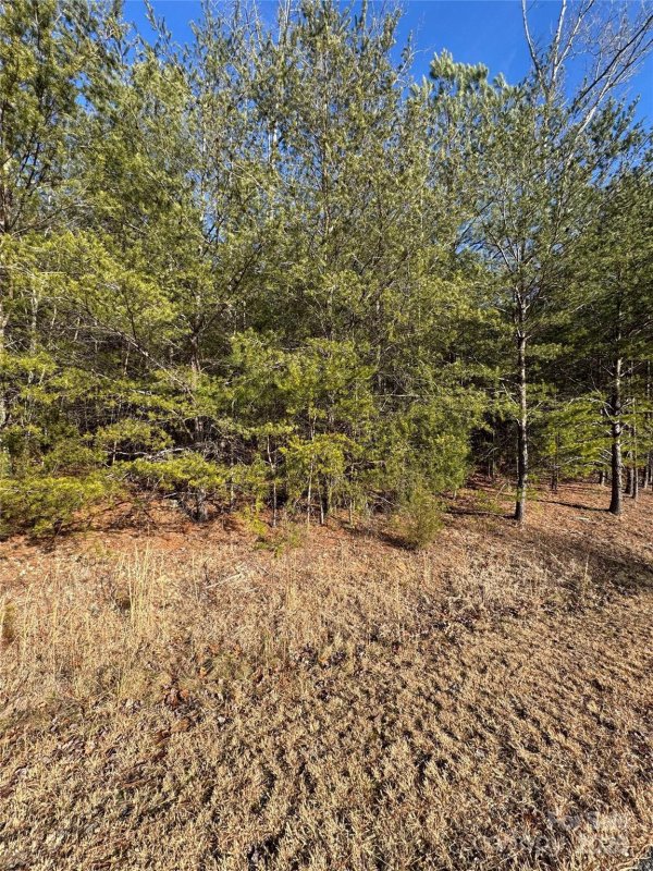 Property image 5 at 00 N Dakota Drive, Rutherfordton, NC 28139